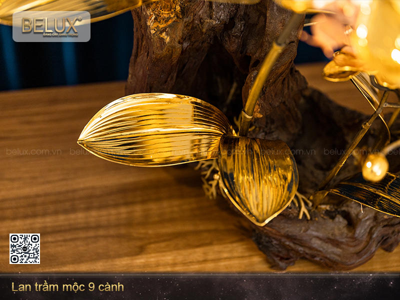 Lan trầm mộc 9 cành&nbsp;
